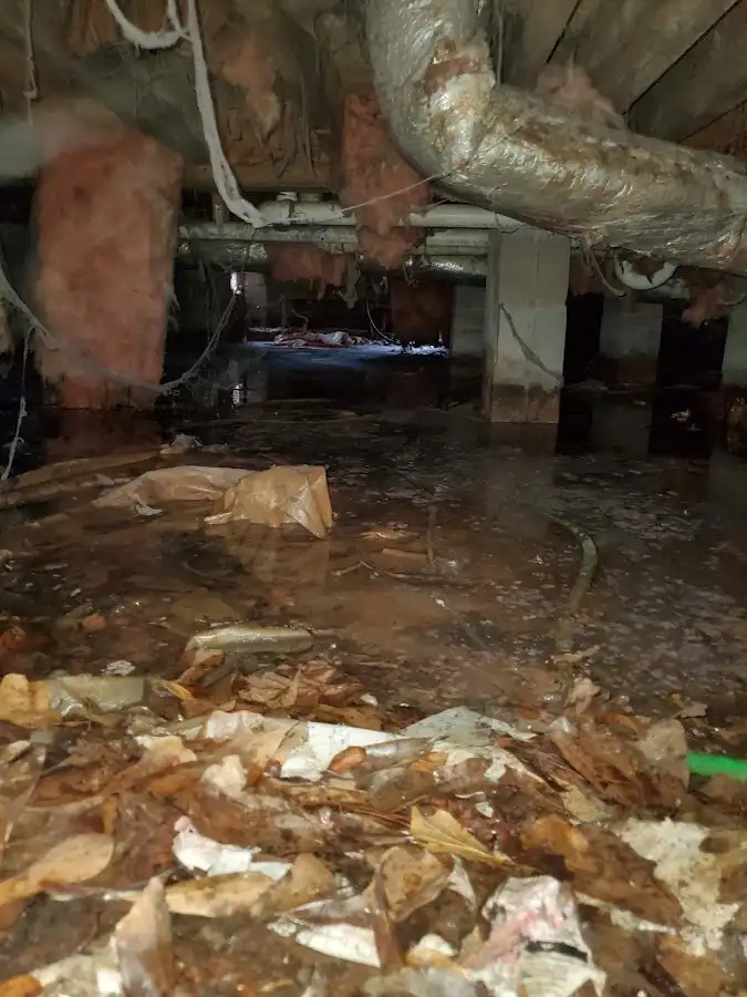 Crawl space flood assessment for Leak Detection & Repair in Katy